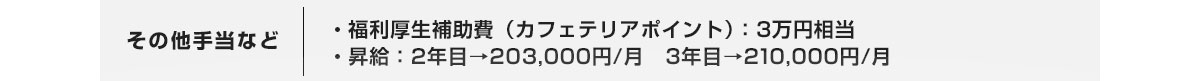 その他手当など　・福利厚生補助費（カフェテリアポイント）：3万円相当 ・昇給：2年目→203,000円/月　3年目→210,000円/月