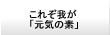 これぞ我が「元気の素」